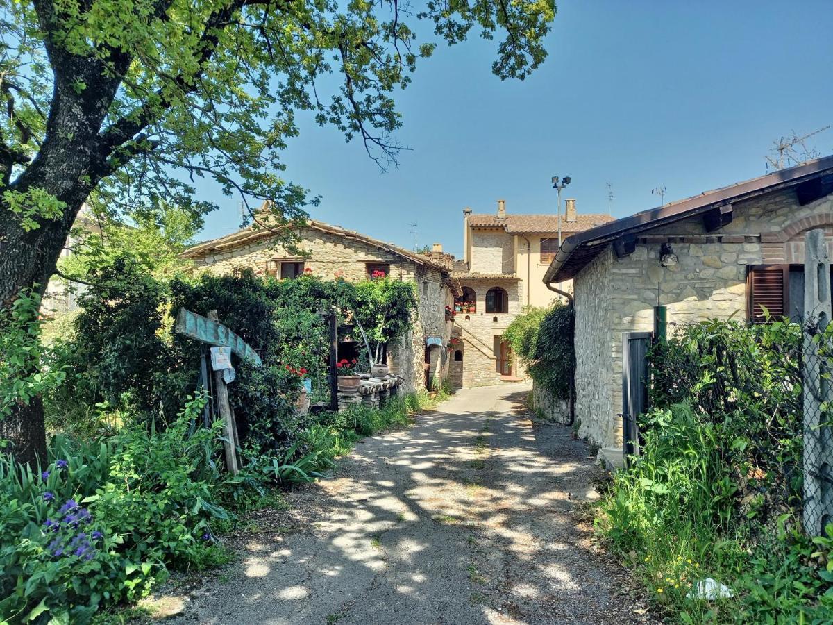 B&B Torrematta Assisi Kültér fotó