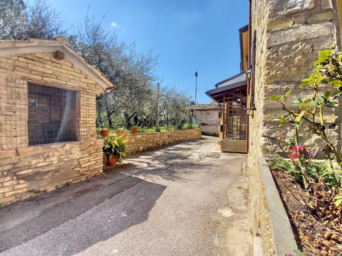 B&B Torrematta Assisi Kültér fotó