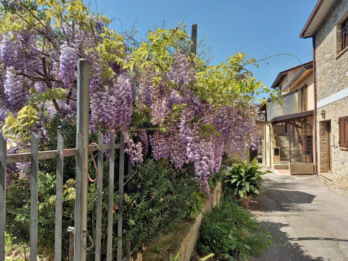 B&B Torrematta Assisi Kültér fotó