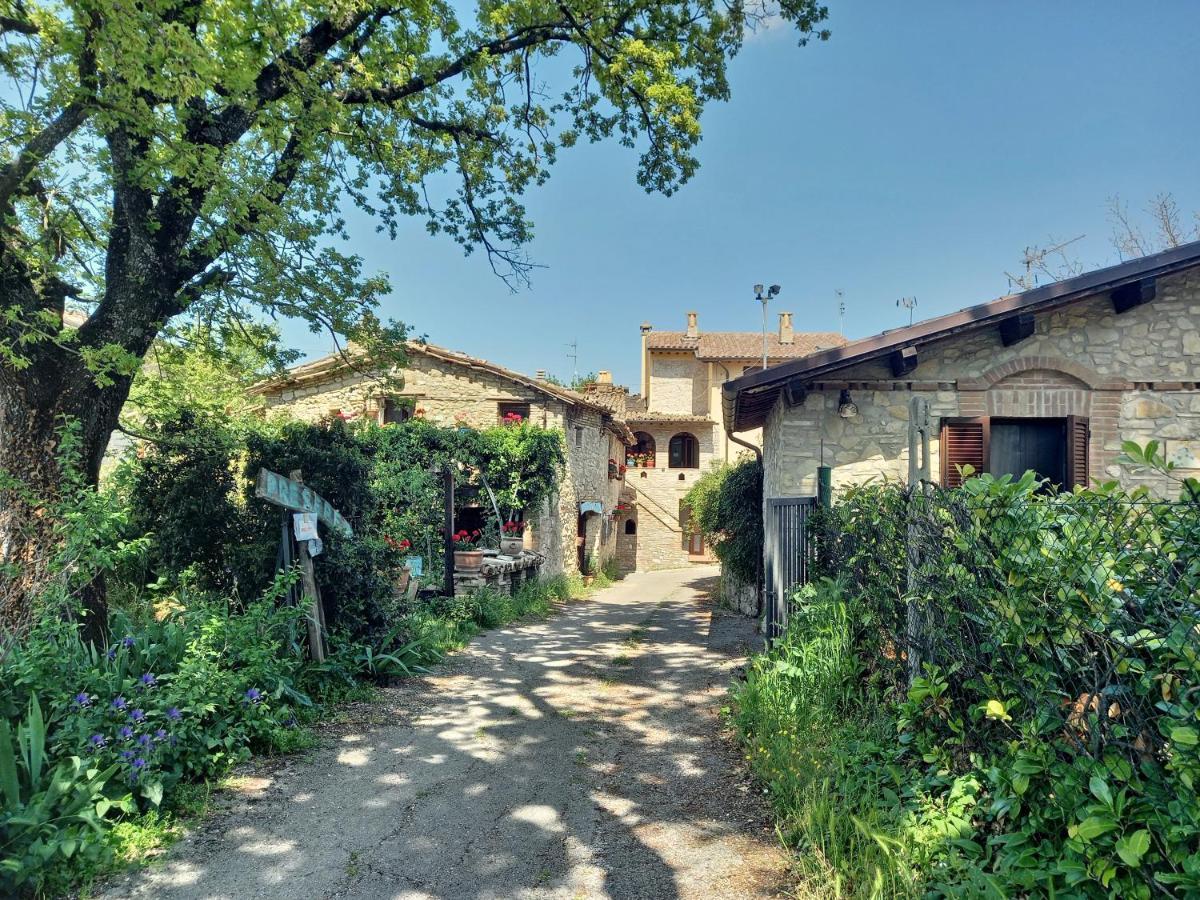 B&B Torrematta Assisi Kültér fotó